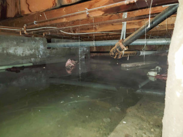 Best Water damage contractors near me  in Mulgee, OK
