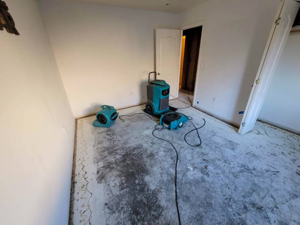Best Basement water damage restoration  in Mulgee, OK