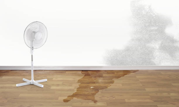 Best Ceiling water damage repair  in Mulgee, OK